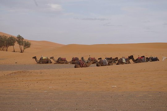 Tour image 8