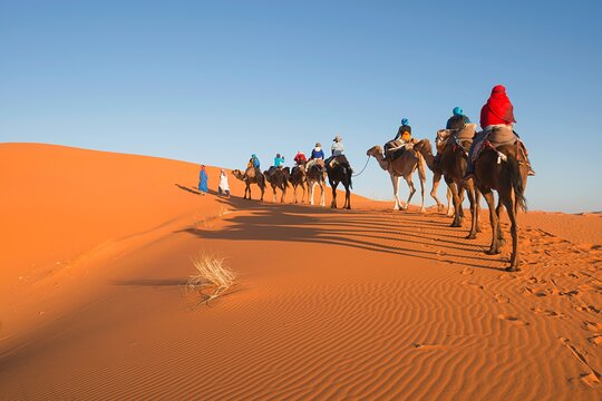 Tour image 2