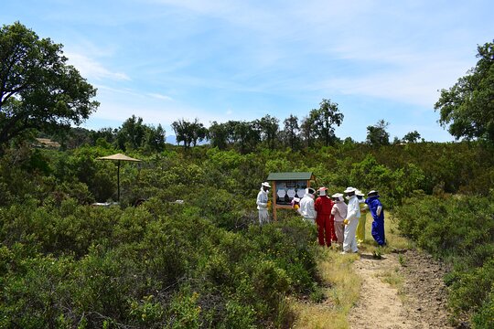 Tour image 5