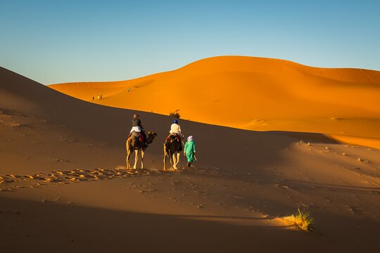 Tour image 12